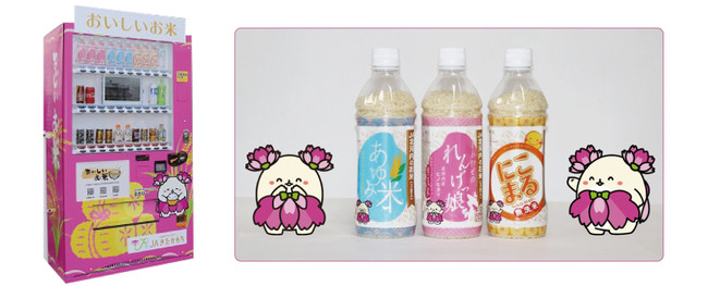 bord station(ボードステーション)： https://www.bordstation.jp/